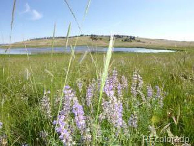 2352 Benton Pl, Fort Garland, CO 81133