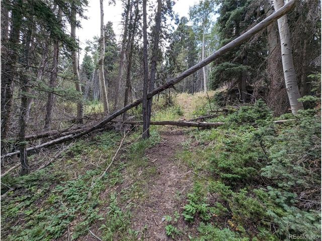 2352 Benton Pl, Fort Garland, CO 81133