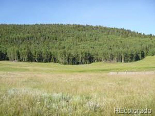 2352 Benton Pl, Fort Garland, CO 81133