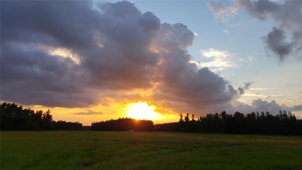 0 MOORE ROAD, Lakeland, FL 33809