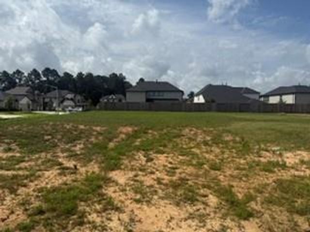 3224 Bushby Hawthorn Drive, Conroe, TX 77301