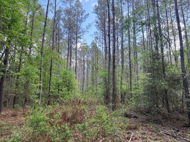 526 Mount Pisgah Road, Woodville, TX 75979