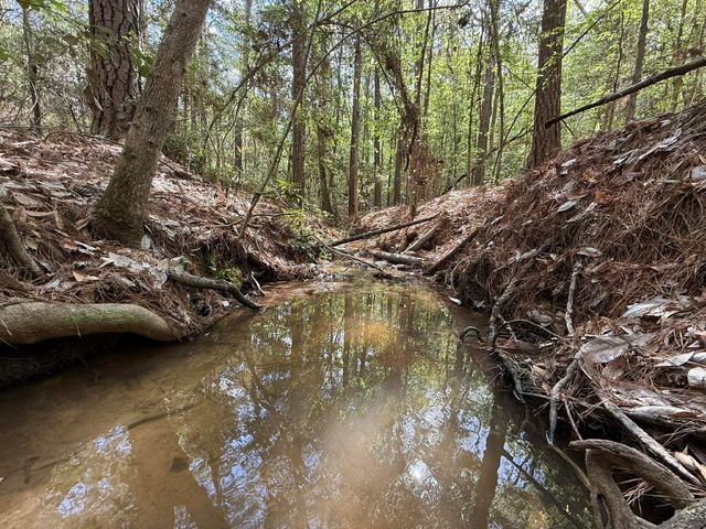 526 Mount Pisgah Road, Woodville, TX 75979