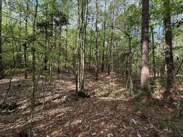 526 Mount Pisgah Road, Woodville, TX 75979