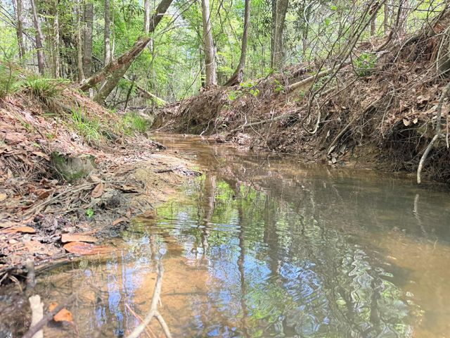 526 Mount Pisgah Road, Woodville, TX 75979