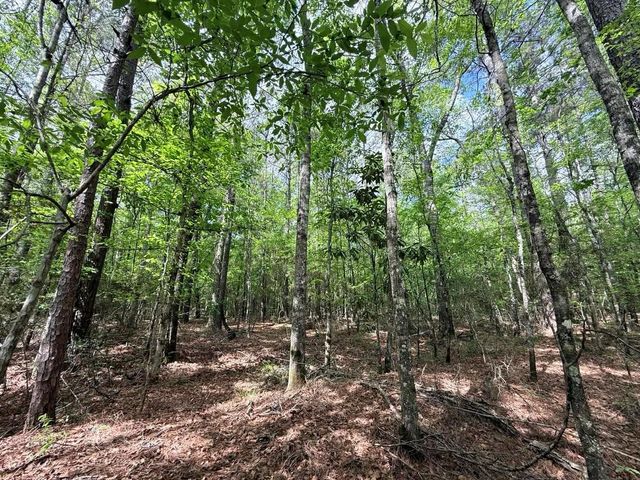 526 Mount Pisgah Road, Woodville, TX 75979