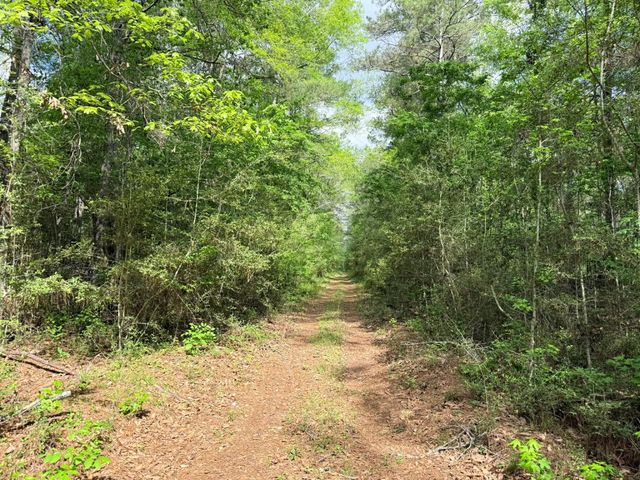 526 Mount Pisgah Road, Woodville, TX 75979