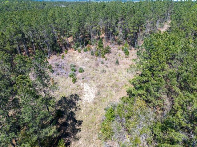 526 Mount Pisgah Road, Woodville, TX 75979