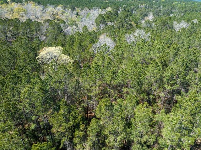 526 Mount Pisgah Road, Woodville, TX 75979