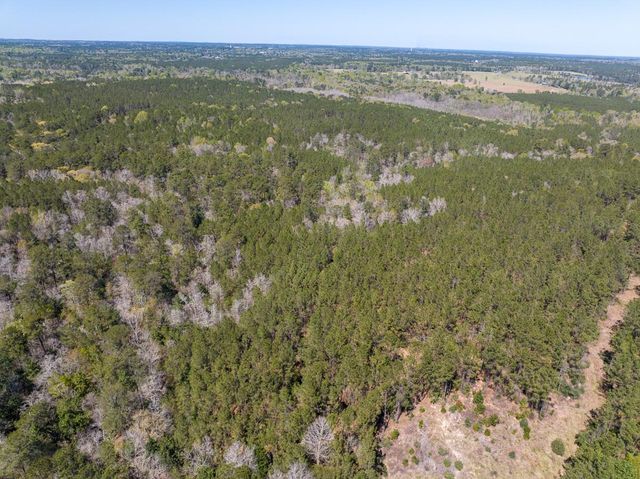 526 Mount Pisgah Road, Woodville, TX 75979