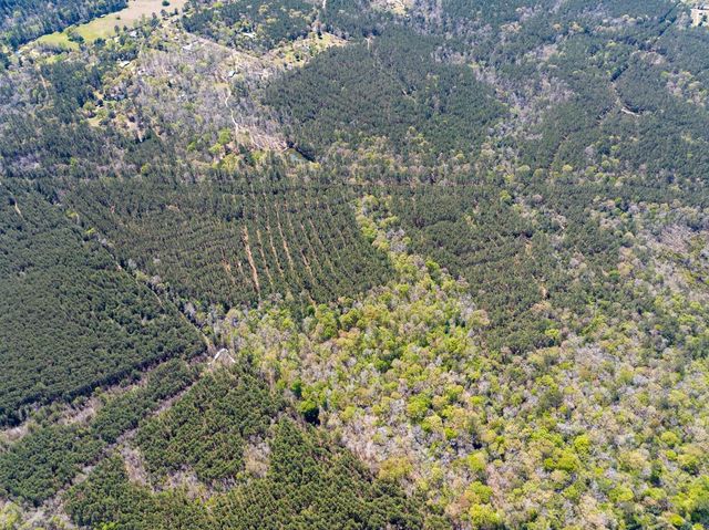 526 Mount Pisgah Road, Woodville, TX 75979