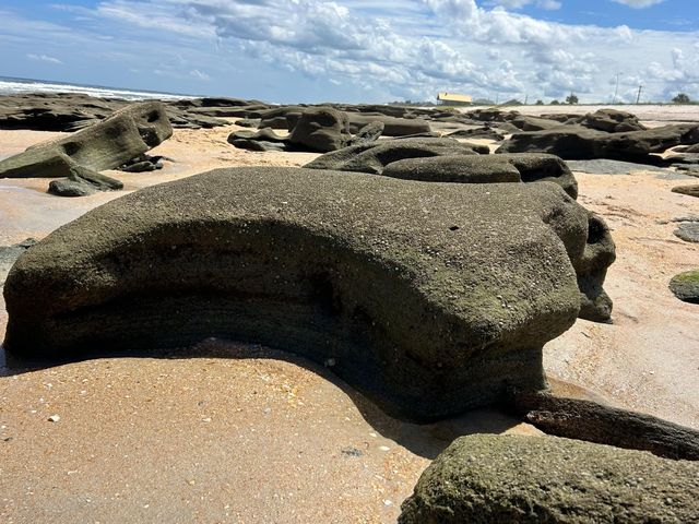 600 Domenico Cir G9, St Augustine, FL 32086