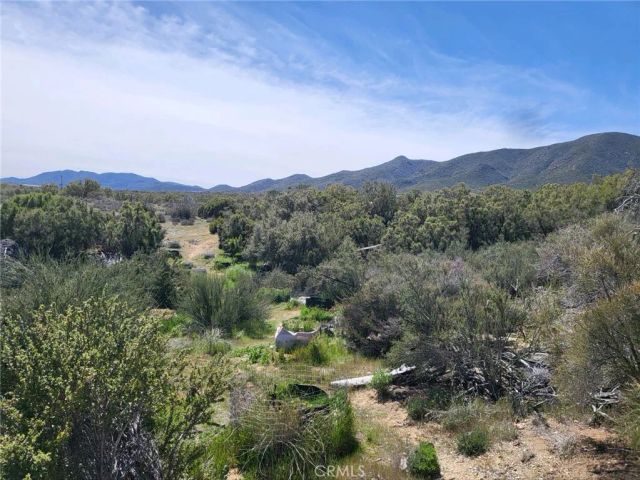58660 80th, Anza, CA 92539