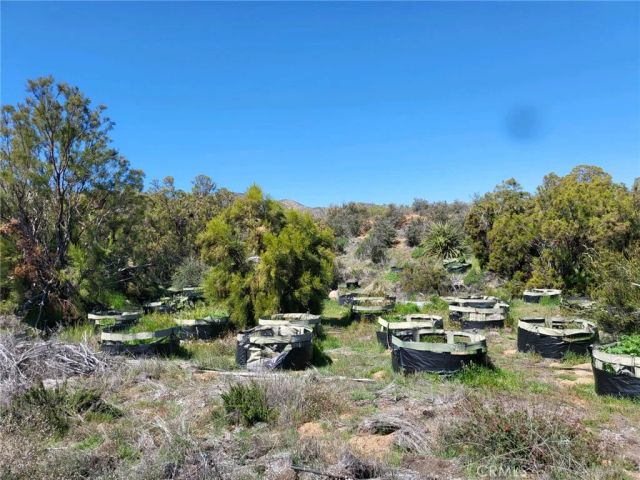 58660 80th, Anza, CA 92539