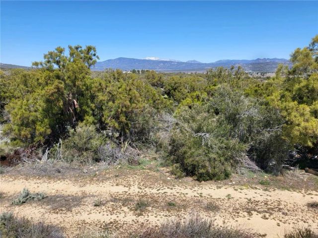 58660 80th, Anza, CA 92539