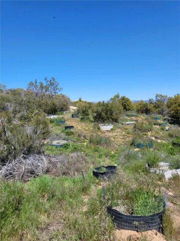 58660 80th, Anza, CA 92539