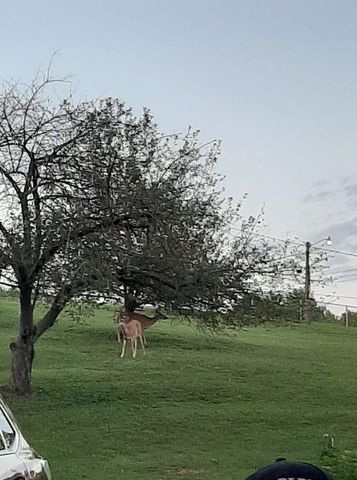 481 Barger Hill, Kenova, WV 25704