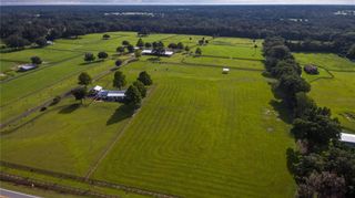 TBD GAINESVILLE ROAD, Reddick, FL 32686