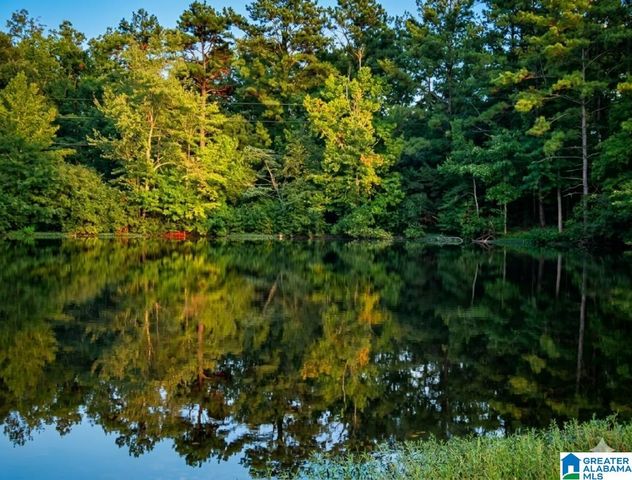 73 BLACKJACK ROAD, Trussville, AL 35173