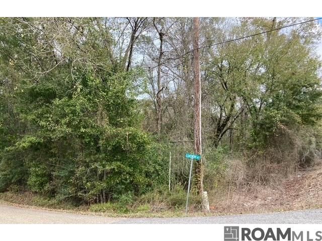 Lot 22 Lucien St, Denham Springs, LA 70726