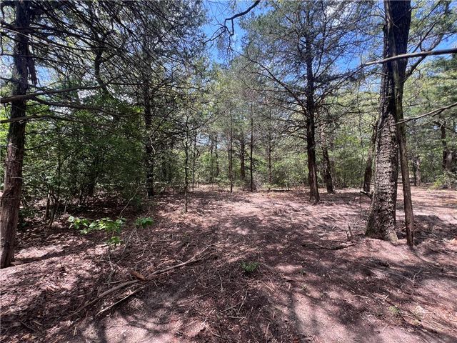 (4.81 Acres) Lot 2 Pauline Lane, Caldwell, TX 77836