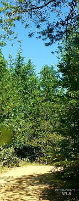 80 E Ridge Dr., St. Maries, ID 83861 photo 14