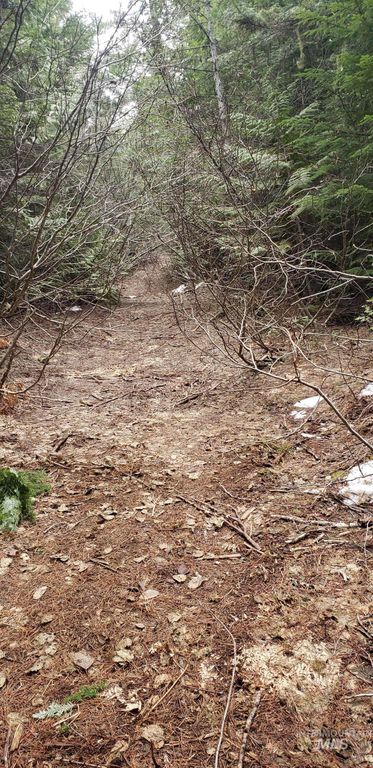 80 E Ridge Dr., St. Maries, ID 83861 photo 15