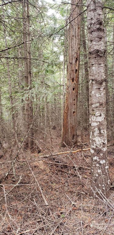 80 E Ridge Dr., St. Maries, ID 83861 photo 16