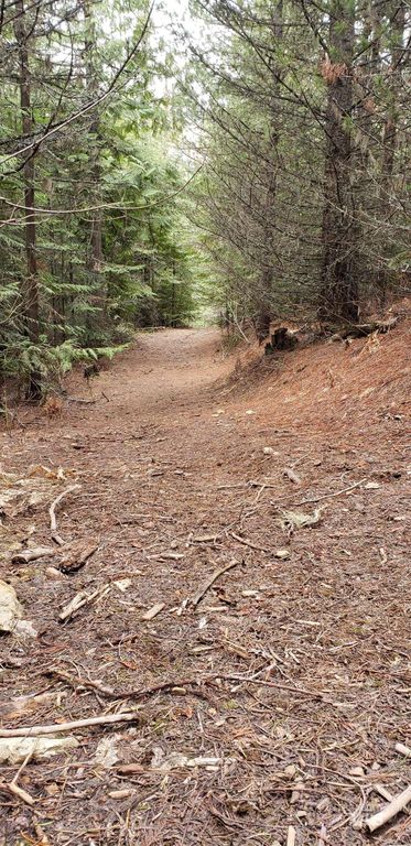 80 E Ridge Dr., St. Maries, ID 83861 photo 20