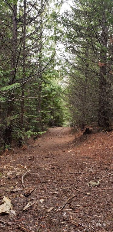 80 E Ridge Dr., St. Maries, ID 83861 photo 21