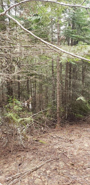 80 E Ridge Dr., St. Maries, ID 83861 photo 22