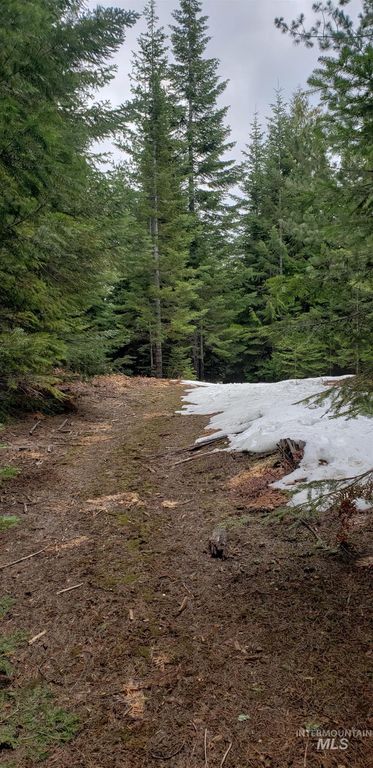 80 E Ridge Dr., St. Maries, ID 83861 photo 23