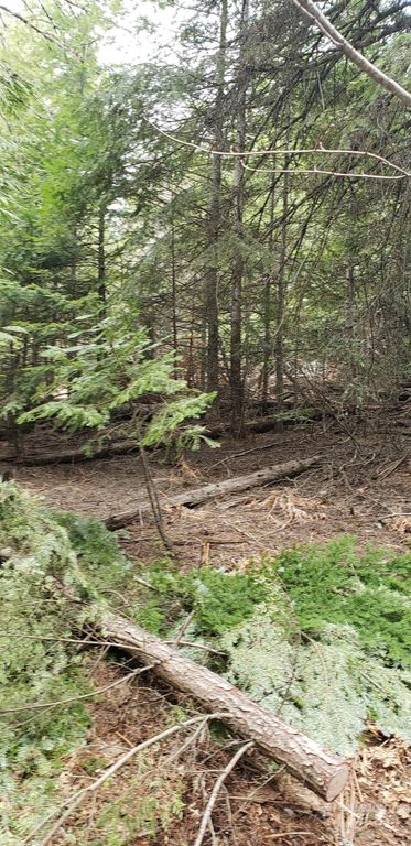 80 E Ridge Dr., St. Maries, ID 83861 photo 25