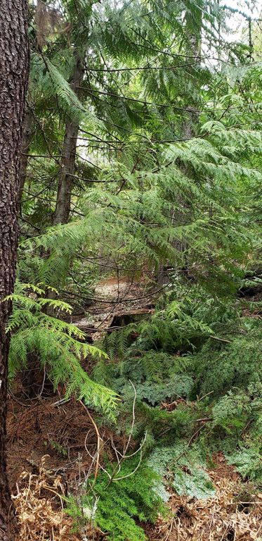 80 E Ridge Dr., St. Maries, ID 83861 photo 26