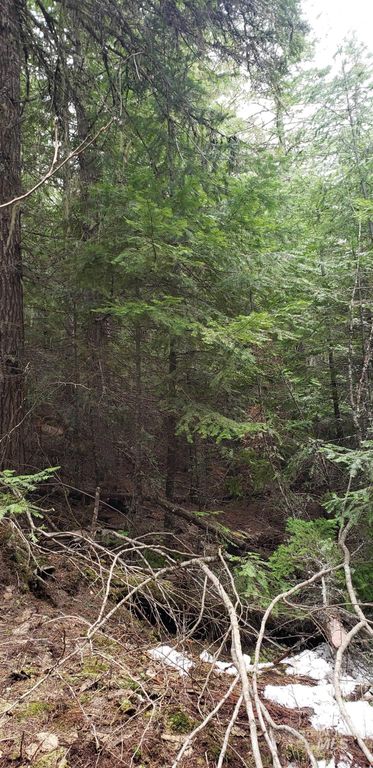 80 E Ridge Dr., St. Maries, ID 83861 photo 27