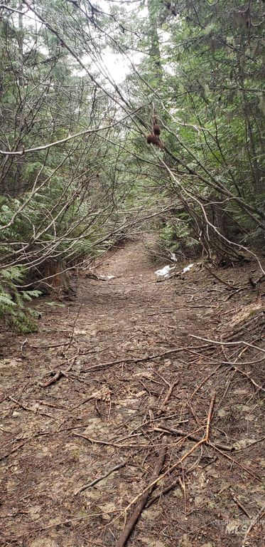 80 E Ridge Dr., St. Maries, ID 83861 photo 28