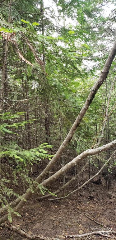 80 E Ridge Dr., St. Maries, ID 83861 photo 29