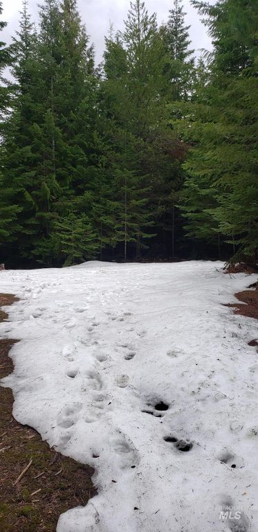 80 E Ridge Dr., St. Maries, ID 83861 photo 30