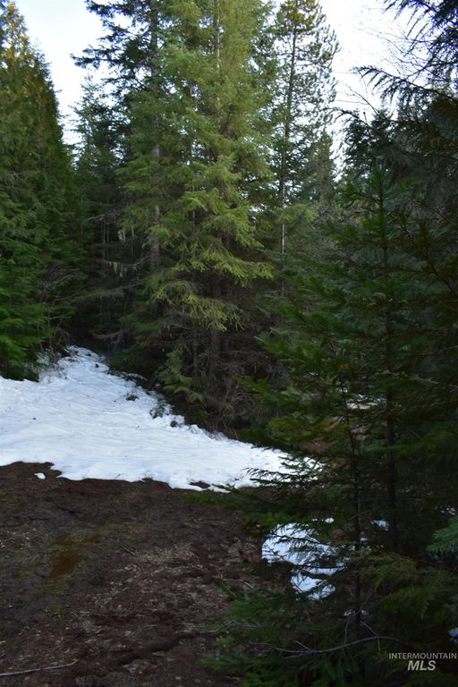 80 E Ridge Dr., St. Maries, ID 83861 photo 32