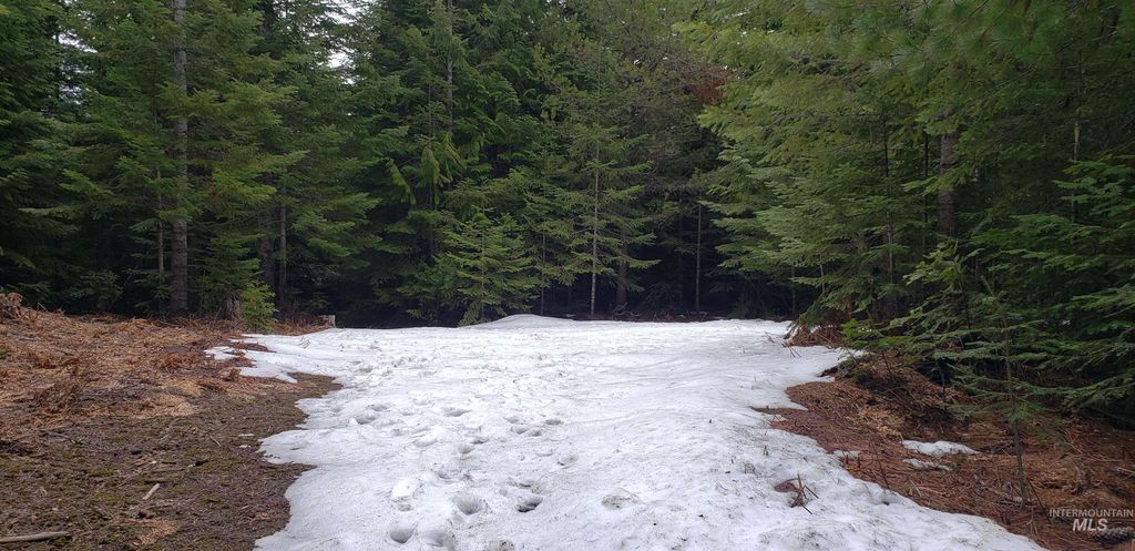 80 E Ridge Dr., St. Maries, ID 83861 photo 35