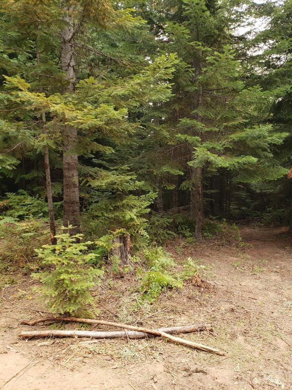 80 E Ridge Dr., St. Maries, ID 83861 photo 4