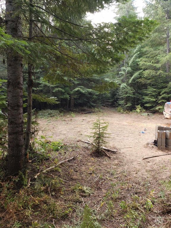 80 E Ridge Dr., St. Maries, ID 83861 photo 6