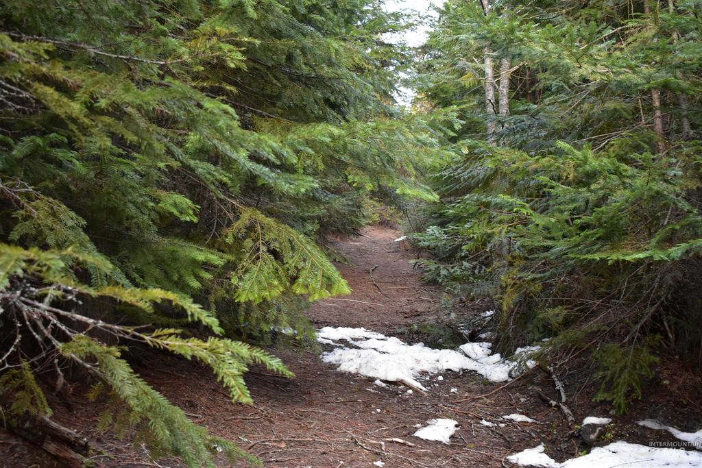 80 E Ridge Dr., St. Maries, ID 83861 photo 9