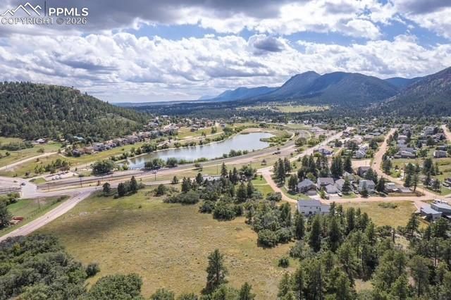 103 Aurelia Street, Palmer Lake, CO 80133