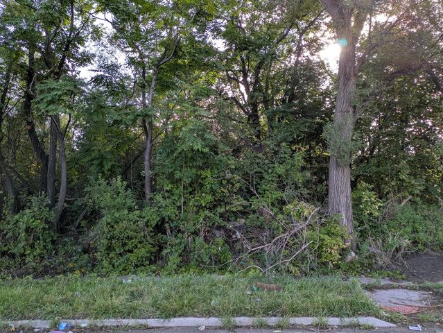17280 Dequindre Street, Detroit, MI 48212