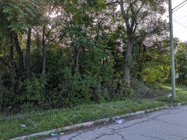 17280 Dequindre Street, Detroit, MI 48212