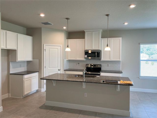 333 WINTER BLISS LANE, Mount Dora, FL 32757