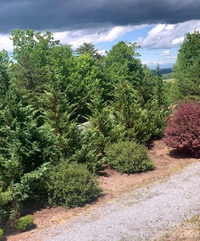 453 Grandview Peaks Drive, Nebo, NC 28761