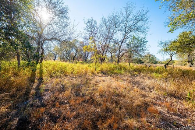 21270 Priest Rd, Elmendorf, TX 78112