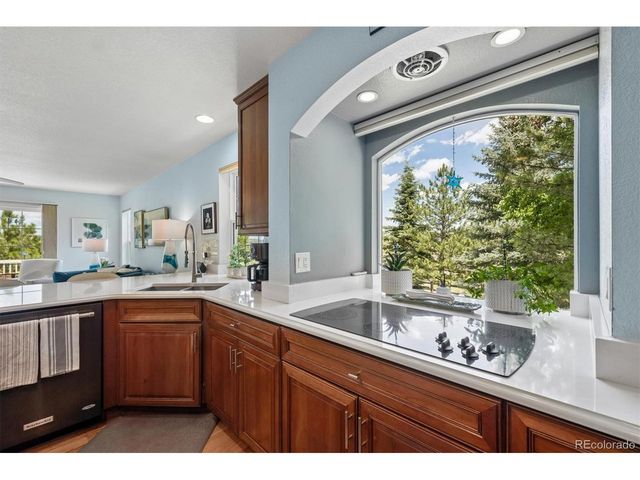 2529 Cactus Bloom Ct, Castle Rock, CO 80109